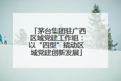 茅台集团驻广西区域党建工作组：以“四型”撬动区域党建创新发展