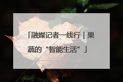 融媒记者一线行｜果蔬的“智能生活”