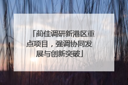 蔺佳调研新港区重点项目，强调协同发展与创新突破