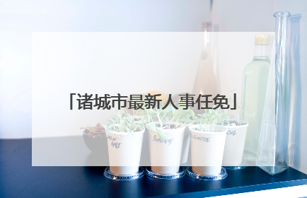 诸城市最新人事任免