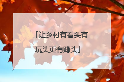 让乡村有看头有玩头更有赚头