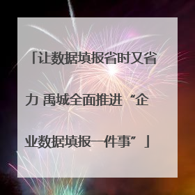 让数据填报省时又省力 禹城全面推进“企业数据填报一件事”