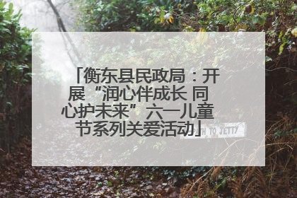 衡东县民政局：开展“润心伴成长 同心护未来”六一儿童节系列关爱活动