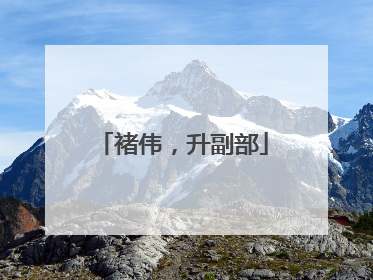 褚伟，升副部