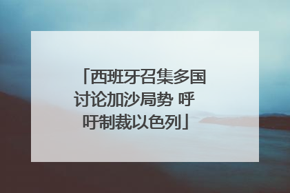 西班牙召集多国讨论加沙局势 呼吁制裁以色列