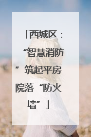 西城区：“智慧消防”筑起平房院落“防火墙”