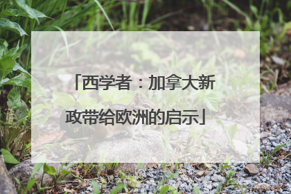 西学者：加拿大新政带给欧洲的启示
