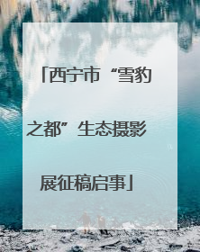 西宁市“雪豹之都”生态摄影展征稿启事