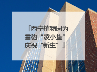 西宁植物园为雪豹“凌小蛰”庆祝“新生”
