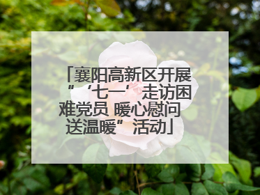 襄阳高新区开展“‘七一’走访困难党员 暖心慰问送温暖”活动