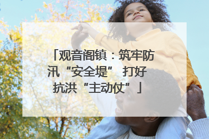 观音阁镇：筑牢防汛“安全堤” 打好抗洪“主动仗”