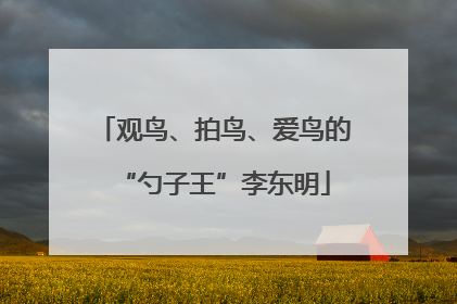 观鸟、拍鸟、爱鸟的“勺子王”李东明