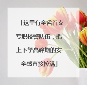 这里有全省首支专职校警队伍，把上下学高峰期的安全感直接拉满