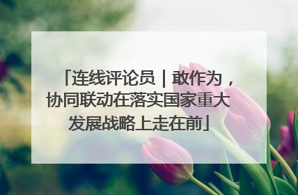 连线评论员｜敢作为，协同联动在落实国家重大发展战略上走在前