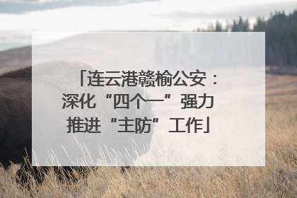 连云港赣榆公安：深化“四个一”强力推进“主防”工作