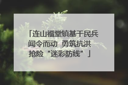连山福堂镇基干民兵闻令而动  勇筑抗洪抢险“迷彩防线”