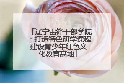 辽宁雷锋干部学院：打造特色研学课程 建设青少年红色文化教育高地