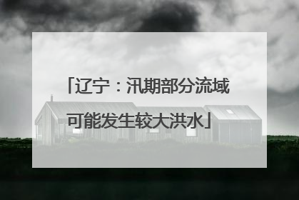 辽宁：汛期部分流域可能发生较大洪水