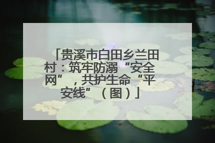贵溪市白田乡兰田村：筑牢防溺“安全网”，共护生命“平安线”（图）