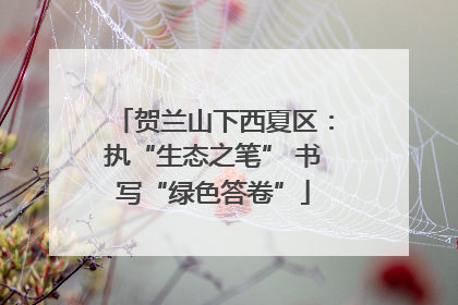 贺兰山下西夏区：执“生态之笔” 书写“绿色答卷”
