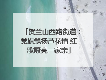 贺兰山西路街道：党旗飘扬芦花情 红歌嘹亮一家亲