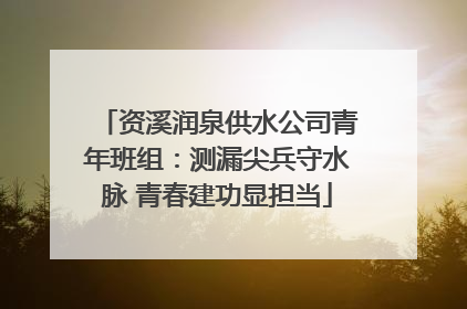资溪润泉供水公司青年班组：测漏尖兵守水脉 青春建功显担当
