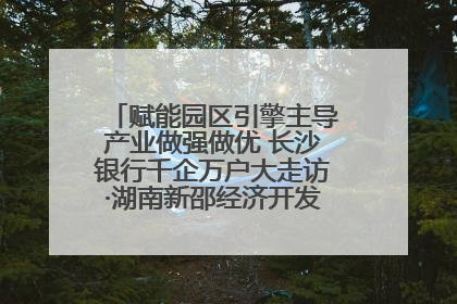 赋能园区引擎主导产业做强做优 长沙银行千企万户大走访·湖南新邵经济开发区专场活动举行