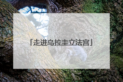 走进乌拉圭立法宫