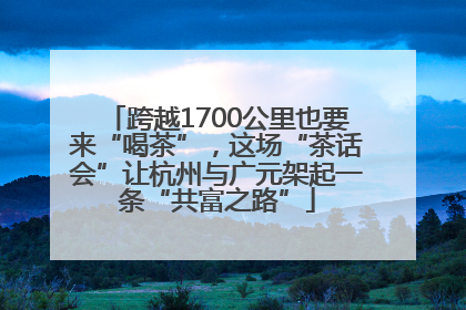 跨越1700公里也要来“喝茶”，这场“茶话会”让杭州与广元架起一条“共富之路”