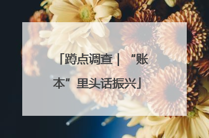 蹲点调查｜“账本”里头话振兴