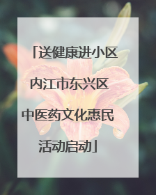 送健康进小区 内江市东兴区中医药文化惠民活动启动