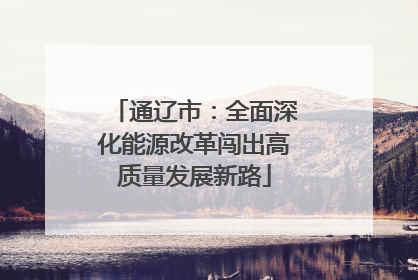 通辽市：全面深化能源改革闯出高质量发展新路
