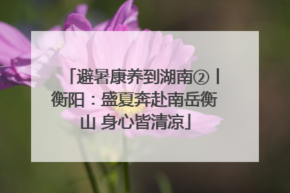 避暑康养到湖南②丨衡阳：盛夏奔赴南岳衡山 身心皆清凉