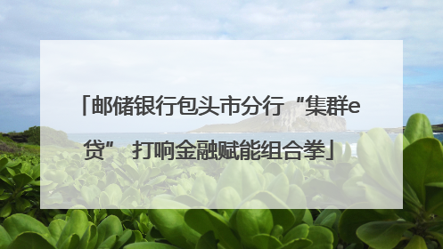 邮储银行包头市分行“集群e贷” 打响金融赋能组合拳
