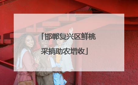 邯郸复兴区鲜桃采摘助农增收