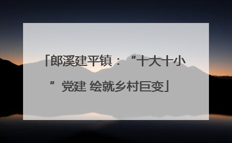 郎溪建平镇：“十大十小”党建 绘就乡村巨变