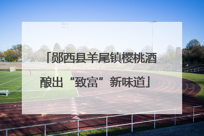郧西县羊尾镇樱桃酒酿出“致富”新味道