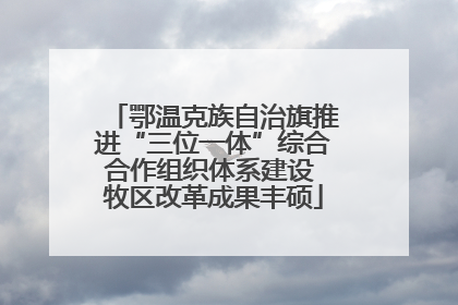 鄂温克族自治旗推进“三位一体”综合合作组织体系建设 牧区改革成果丰硕