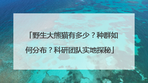 野生大熊猫有多少？种群如何分布？科研团队实地探秘