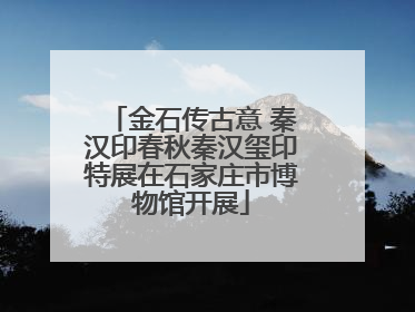 金石传古意 秦汉印春秋秦汉玺印特展在石家庄市博物馆开展