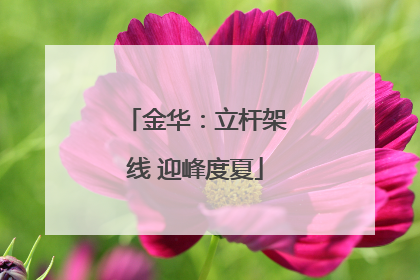 金华：立杆架线 迎峰度夏