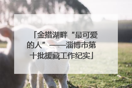 金措湖畔“最可爱的人”——淄博市第十批援藏工作纪实