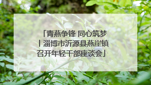 青燕争锋 同心筑梦丨淄博市沂源县燕崖镇召开年轻干部座谈会