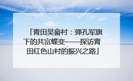 青田吴畲村：弹孔军旗下的共富蝶变——探访青田红色山村的振兴之路