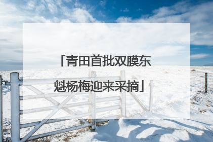 青田首批双膜东魁杨梅迎来采摘