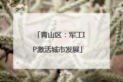 青山区：军工IP激活城市发展