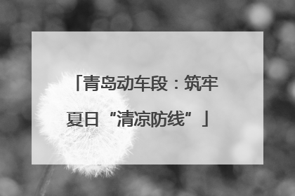 青岛动车段：筑牢夏日“清凉防线”