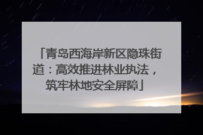 青岛西海岸新区隐珠街道：高效推进林业执法，筑牢林地安全屏障