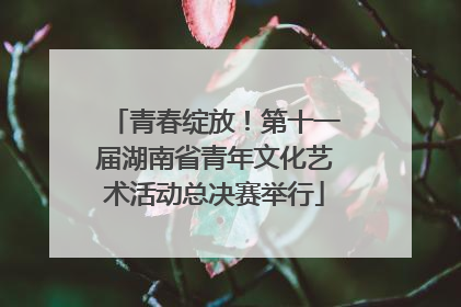 青春绽放！第十一届湖南省青年文化艺术活动总决赛举行