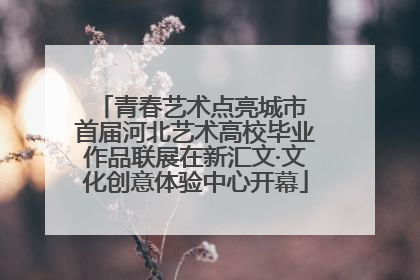 青春艺术点亮城市 首届河北艺术高校毕业作品联展在新汇文·文化创意体验中心开幕